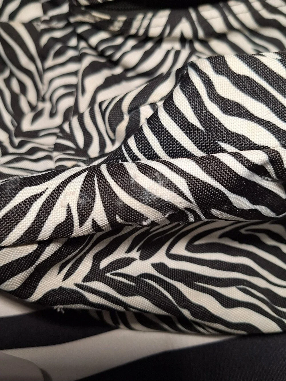 Jansport Backpack Zebra Black White w/ Purple Accents